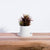 Small Tapered Round Concrete Planter. Handmade in Toronto, Canada.