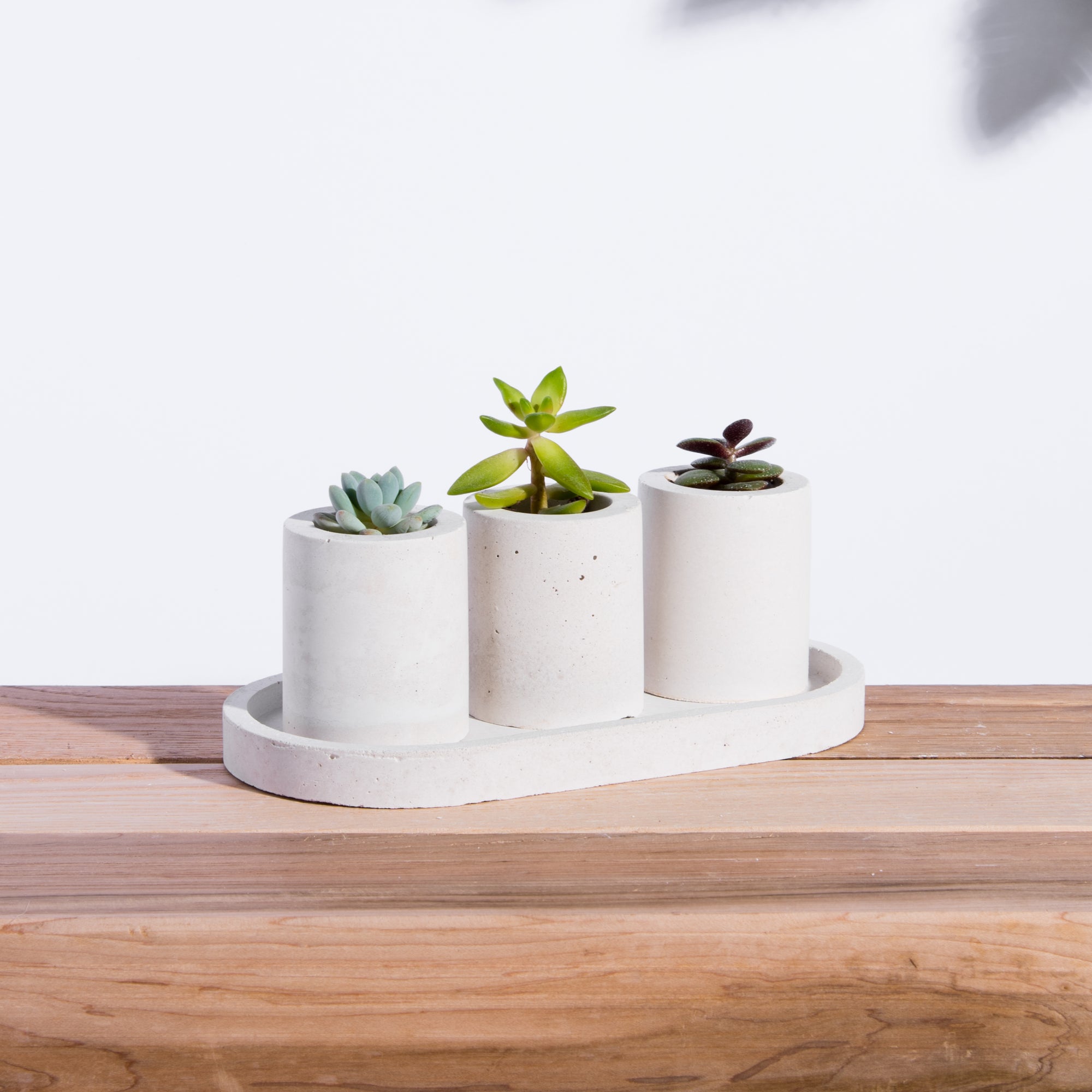 Mini Succulent Concrete Planter Trio With Saucer. Handmade in Canada.